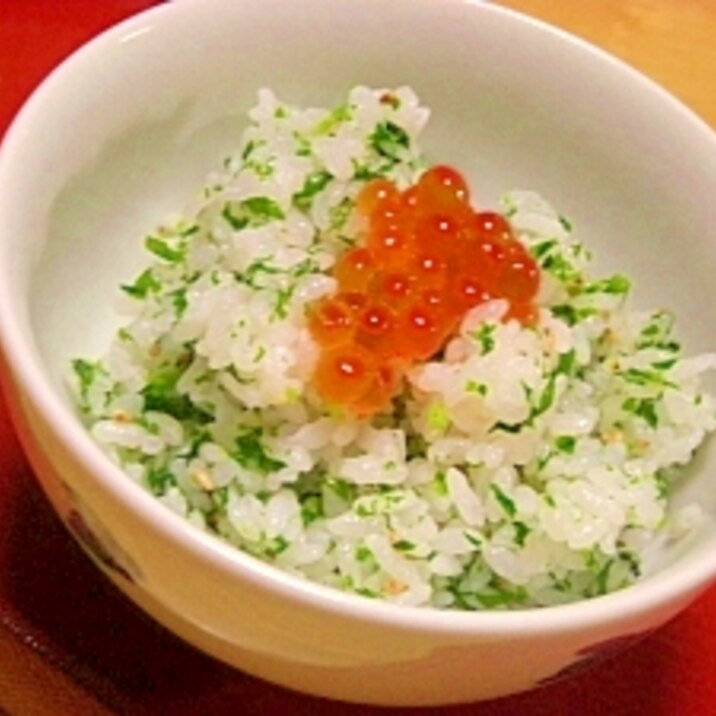 上杉鷹山公が推奨したウコギ 簡単ウコギご飯 レシピ 作り方 By ブルーボリジ 楽天レシピ 上杉鷹山公が推奨したウコギ 簡単ウコギご飯 レシピ 作り方 By ブルーボリジ 楽天レシピ